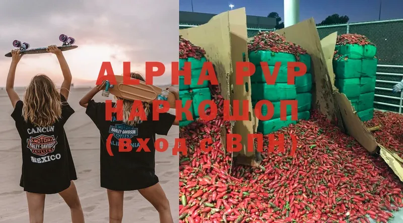 Alfa_PVP СК Луза